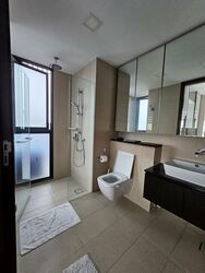 Spottiswoode Residences (D2), Condominium #580814281
